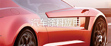 高檔汽車(chē)耐候專(zhuān)用